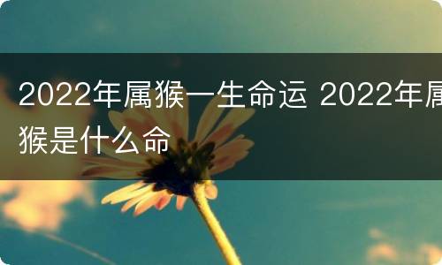2022年属猴一生命运 2022年属猴是什么命