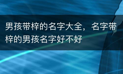 男孩带梓的名字大全，名字带梓的男孩名字好不好