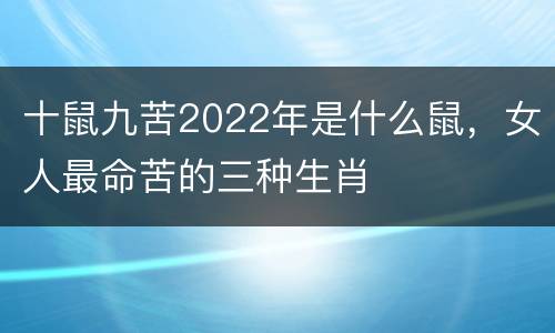 十鼠九苦2022年是什么鼠，女人最命苦的三种生肖