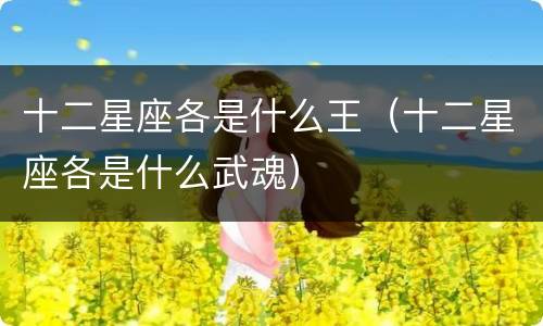 十二星座各是什么王（十二星座各是什么武魂）