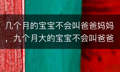 几个月的宝宝不会叫爸爸妈妈，九个月大的宝宝不会叫爸爸妈妈，正常吗