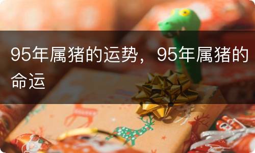 95年属猪的运势，95年属猪的命运