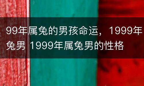 99年属兔的男孩命运，1999年兔男 1999年属兔男的性格