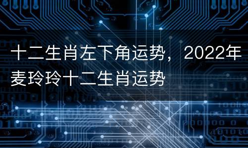 十二生肖左下角运势，2022年麦玲玲十二生肖运势