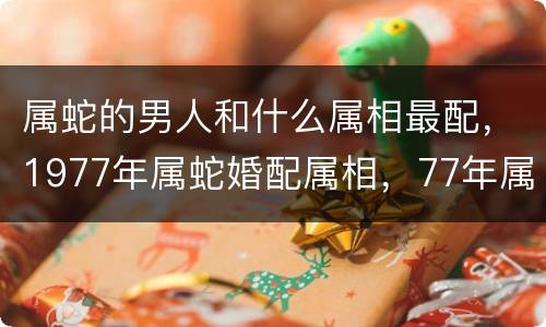 属蛇的男人和什么属相最配，1977年属蛇婚配属相，77年属蛇