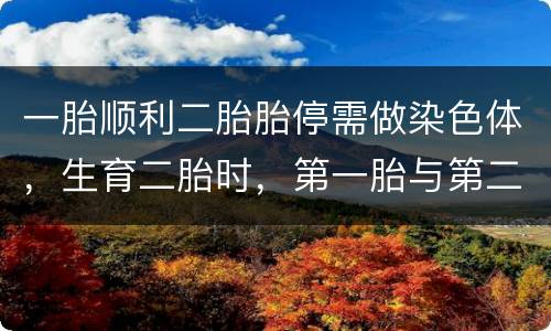 一胎顺利二胎胎停需做染色体，生育二胎时，第一胎与第二胎之间，间隔多久对