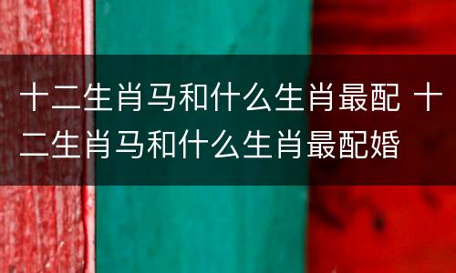 十二生肖马和什么生肖最配 十二生肖马和什么生肖最配婚