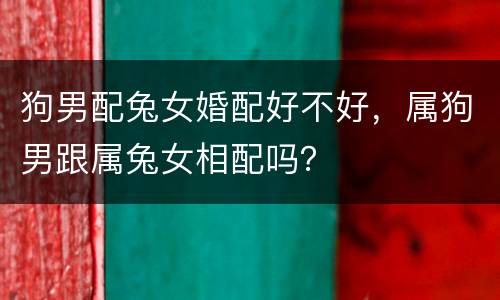 狗男配兔女婚配好不好，属狗男跟属兔女相配吗？