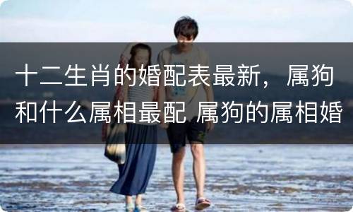 十二生肖的婚配表最新，属狗和什么属相最配 属狗的属相婚配表大全
