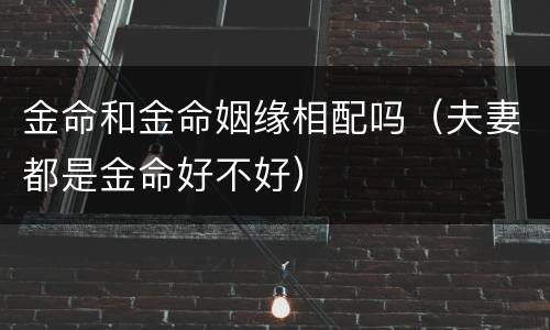 金命和金命姻缘相配吗（夫妻都是金命好不好）
