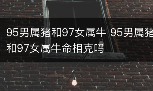 95男属猪和97女属牛 95男属猪和97女属牛命相克吗