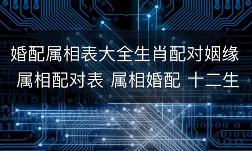 婚配属相表大全生肖配对姻缘 属相配对表 属相婚配 十二生肖属相配对