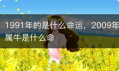 1991年的是什么命运，2009年属牛是什么命