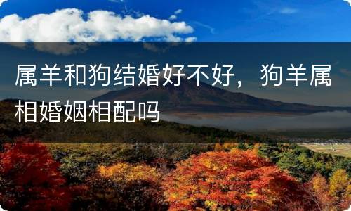 属羊和狗结婚好不好，狗羊属相婚姻相配吗