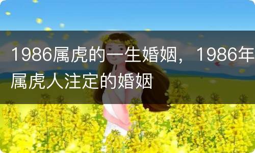 1986属虎的一生婚姻，1986年属虎人注定的婚姻
