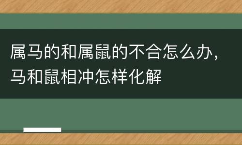 属马的和属鼠的不合怎么办，马和鼠相冲怎样化解