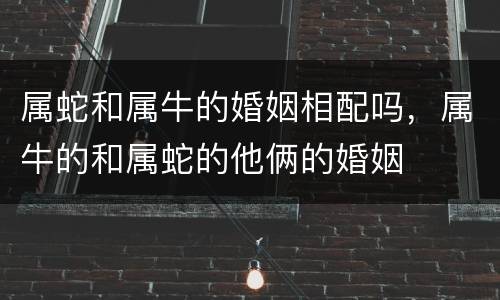 属蛇和属牛的婚姻相配吗，属牛的和属蛇的他俩的婚姻