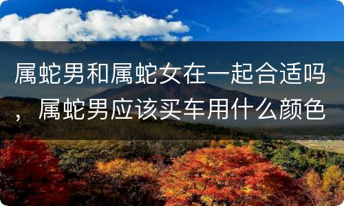 属蛇男和属蛇女在一起合适吗，属蛇男应该买车用什么颜色