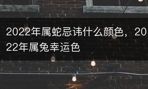 2022年属蛇忌讳什么颜色，2022年属兔幸运色