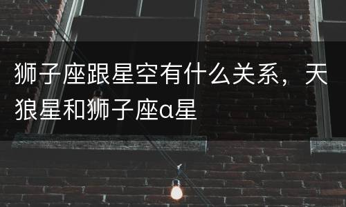 狮子座跟星空有什么关系，天狼星和狮子座α星