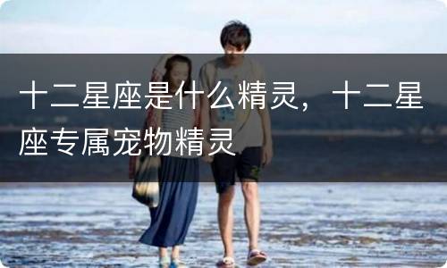 十二星座是什么精灵，十二星座专属宠物精灵