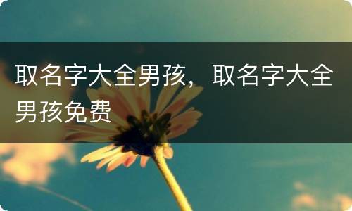 取名字大全男孩，取名字大全男孩免费