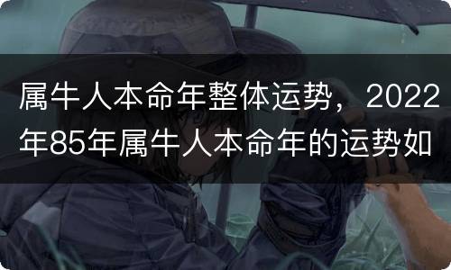 属牛人本命年整体运势，2022年85年属牛人本命年的运势如何