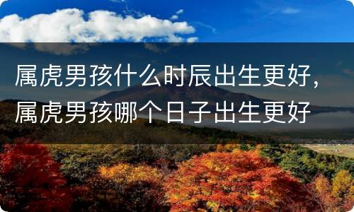 属虎男孩什么时辰出生更好，属虎男孩哪个日子出生更好