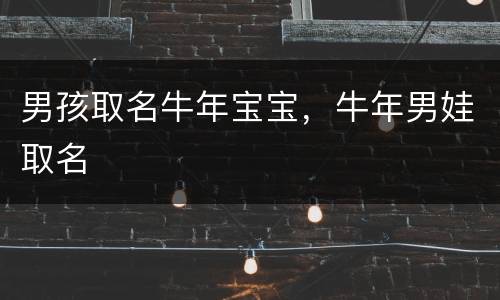 男孩取名牛年宝宝，牛年男娃取名