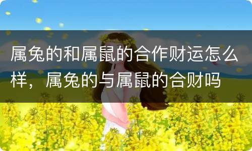 属兔的和属鼠的合作财运怎么样，属兔的与属鼠的合财吗