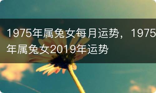 1975年属兔女每月运势，1975年属兔女2019年运势