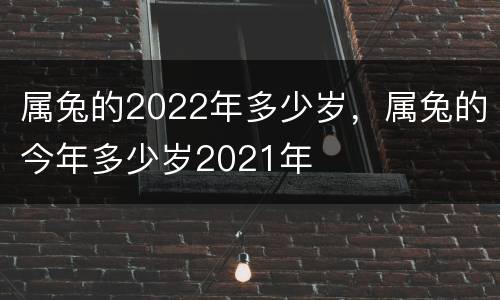 属兔的2022年多少岁，属兔的今年多少岁2021年