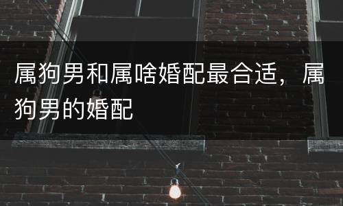 属狗男和属啥婚配最合适，属狗男的婚配