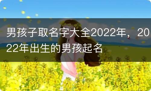 男孩子取名字大全2022年，2022年出生的男孩起名