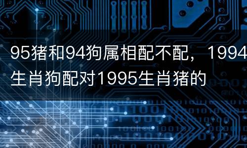 95猪和94狗属相配不配，1994生肖狗配对1995生肖猪的