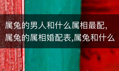 属兔的男人和什么属相最配，属兔的属相婚配表,属兔和什么属相最