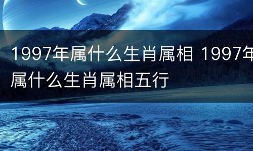 1997年属什么生肖属相 1997年属什么生肖属相五行