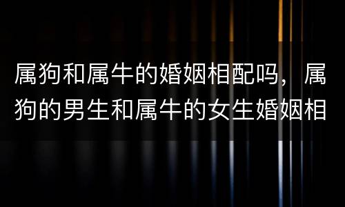 属狗和属牛的婚姻相配吗，属狗的男生和属牛的女生婚姻相配吗？