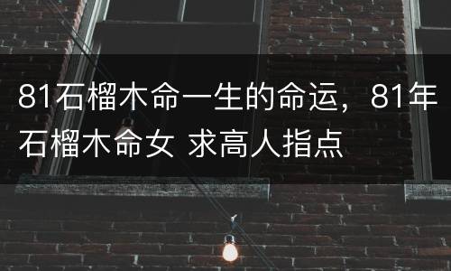81石榴木命一生的命运，81年石榴木命女 求高人指点