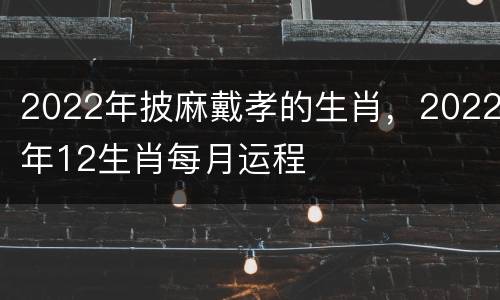 2022年披麻戴孝的生肖，2022年12生肖每月运程
