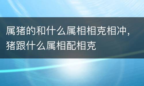 属猪的和什么属相相克相冲，猪跟什么属相配相克