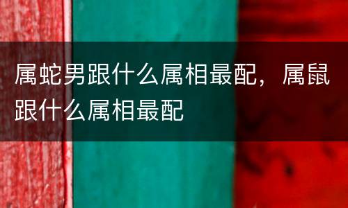 属蛇男跟什么属相最配，属鼠跟什么属相最配