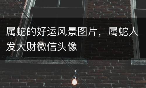 属蛇的好运风景图片，属蛇人发大财微信头像