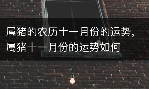 属猪的农历十一月份的运势，属猪十一月份的运势如何