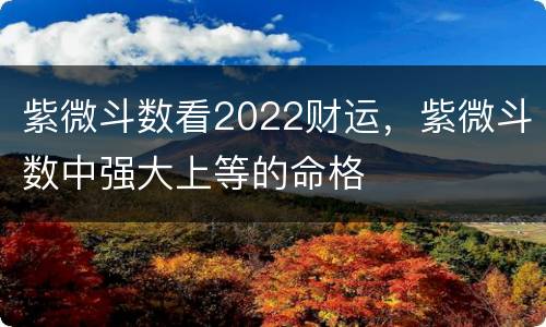 紫微斗数看2022财运，紫微斗数中强大上等的命格