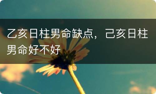 乙亥日柱男命缺点，己亥日柱男命好不好