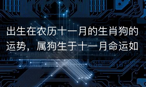 出生在农历十一月的生肖狗的运势，属狗生于十一月命运如何