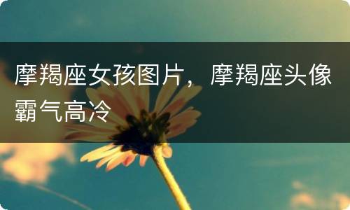 摩羯座女孩图片，摩羯座头像霸气高冷