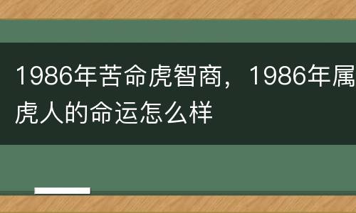 1986年苦命虎智商，1986年属虎人的命运怎么样