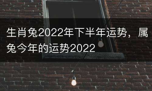 生肖兔2022年下半年运势，属兔今年的运势2022